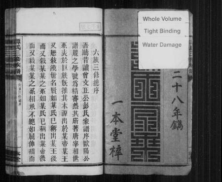 湖南谭氏族谱-谭氏家谱 [17卷,及卷首].pdf电子版插图3