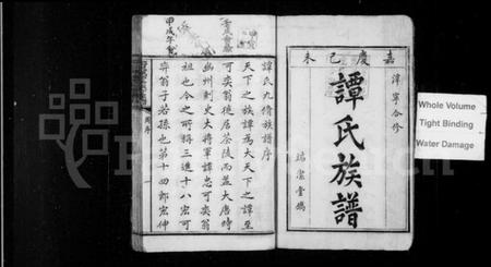 湖南谭氏族谱-谭氏成初公派下家谱 [12卷,首1卷,谱翼10卷].pdf电子版插图2