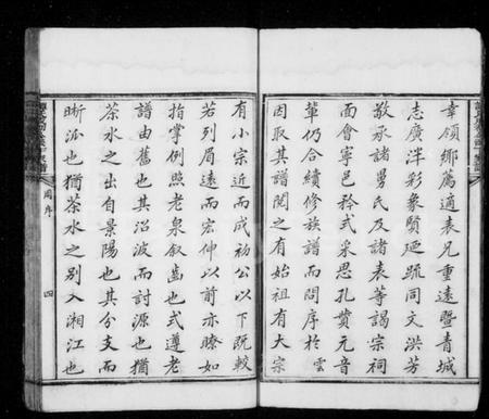 湖南谭氏族谱-谭氏成初公派下家谱 [12卷,首1卷,谱翼10卷].pdf电子版插图5