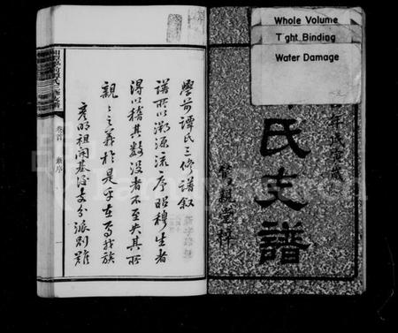 湖南谭氏族谱-谭氏支谱 [11卷,含首1卷].pdf电子版插图3
