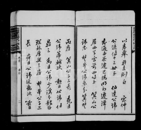 湖南谭氏族谱-谭氏支谱 [11卷,含首1卷].pdf电子版插图4