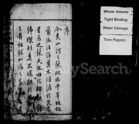 湖南谭氏族谱-谭氏族谱 [17卷,含卷首].pdf电子版插图3