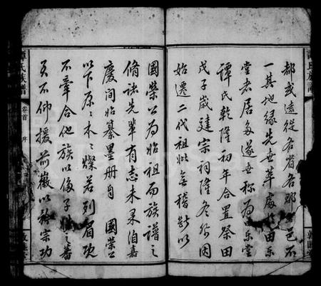 湖南谭氏族谱-谭氏族谱 [17卷,含卷首].pdf电子版插图5