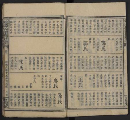 湖南谭氏族谱-谭氏续修族谱 [5卷及卷首末].pdf电子版插图2