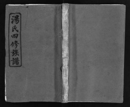 湖南汤氏族谱-汤氏四修族谱 [28卷,首4卷].pdf电子版插图1