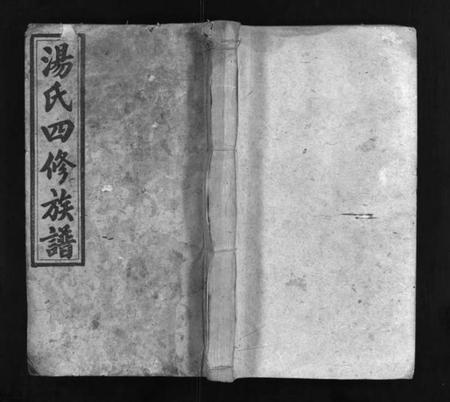 湖南汤氏族谱-汤氏四修族谱 [兴派18卷,礼派8卷,盘派1卷,首5卷].pdf电子版插图1