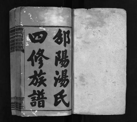 湖南汤氏族谱-汤氏四修族谱 [兴派18卷,礼派8卷,盘派1卷,首5卷].pdf电子版插图2