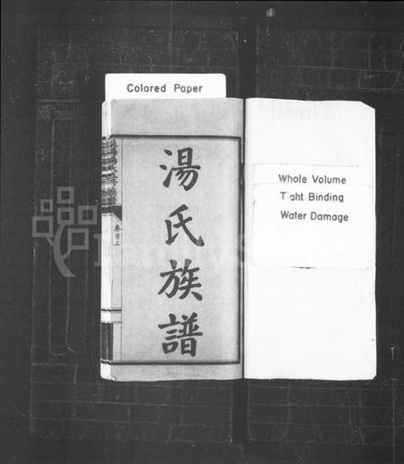湖南汤氏族谱-汤氏族谱 [12卷,及卷首末].pdf电子版插图2
