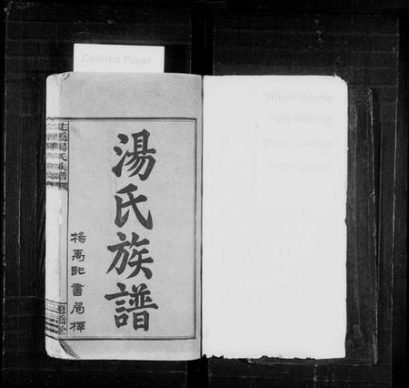 湖南汤氏族谱-汤氏族谱 [4卷,首4卷].pdf电子版插图2