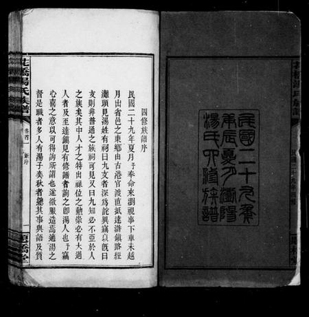 湖南汤氏族谱-汤氏族谱 [4卷,首4卷].pdf电子版插图4