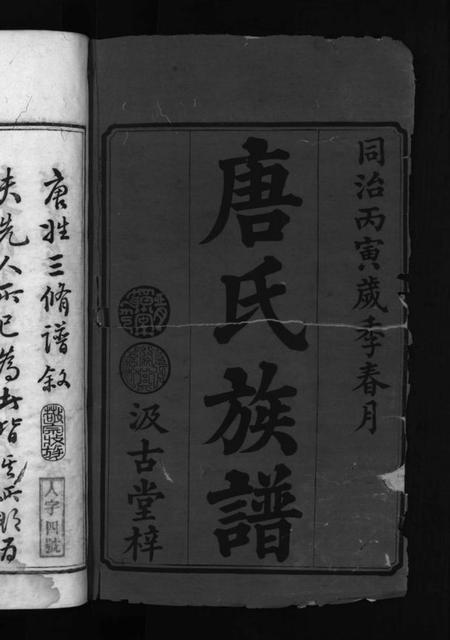 湖南唐氏族谱-唐氏三修族谱 [4卷].pdf电子版插图2