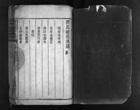 湖南唐氏族谱-唐氏家乘 [2卷,首2卷].pdf电子版插图1