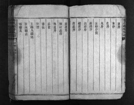 湖南唐氏族谱-唐氏家乘 [2卷,首2卷].pdf电子版插图5