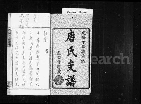 湖南唐氏族谱-唐氏支谱 [19卷,含首1卷,末1卷].pdf电子版插图2