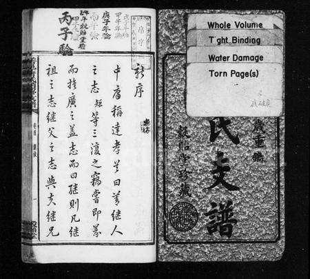 湖南唐氏族谱-唐氏支谱 [19卷,含首1卷,末1卷].pdf电子版插图3