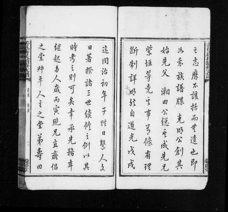 湖南唐氏族谱-唐氏支谱 [19卷,含首1卷,末1卷].pdf电子版插图4