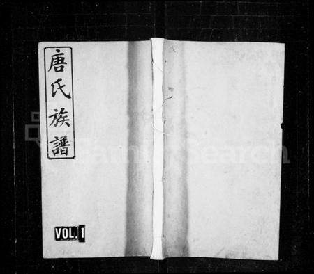 湖南唐氏族谱-唐氏族谱 [10卷,首4卷].pdf电子版插图1