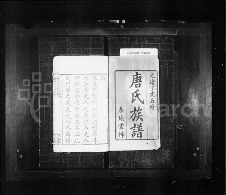 湖南唐氏族谱-唐氏族谱 [24卷,首末各1卷].pdf电子版插图2