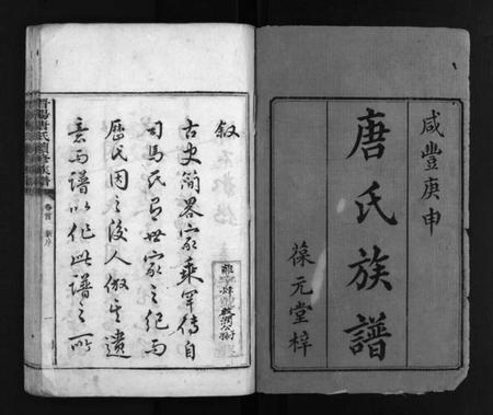 湖南唐氏族谱-唐氏族谱 [6卷,及卷首末].pdf电子版插图2