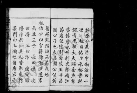 湖南唐氏族谱-唐氏族谱 [8卷,首末各1卷].pdf电子版插图4