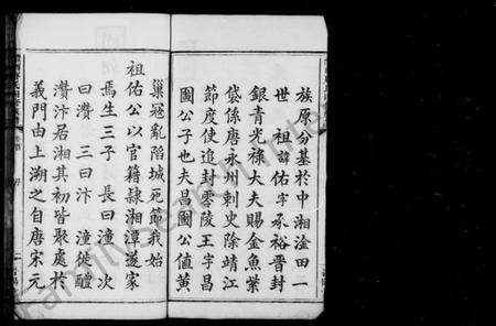 湖南唐氏族谱-唐氏族谱 [8卷,首末各1卷].pdf电子版插图5