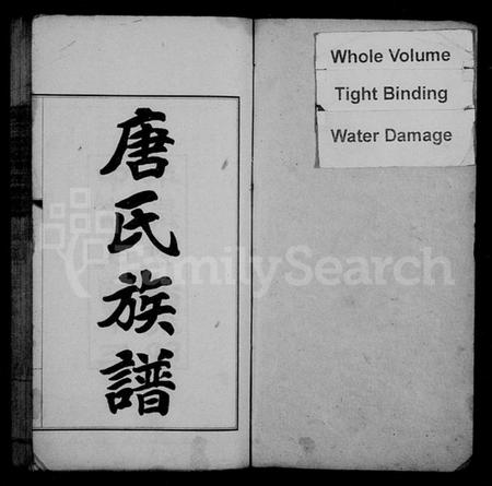 湖南唐氏族谱-慈石澧临唐氏族谱 [59卷].pdf电子版插图2