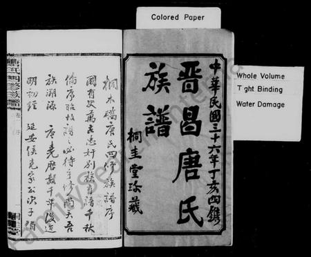 湖南唐氏族谱-桐木桥唐氏族谱 [8卷,含首1卷].pdf电子版插图2