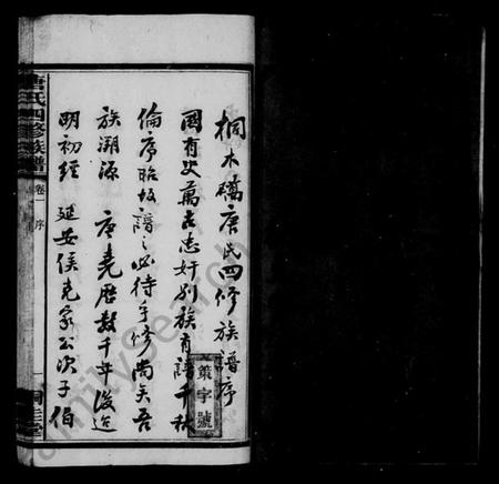 湖南唐氏族谱-桐木桥唐氏族谱 [8卷,含首1卷].pdf电子版插图3