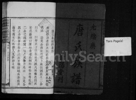 湖南唐氏族谱-晋阳唐氏续修族谱 [4卷,及卷首末].pdf电子版插图2