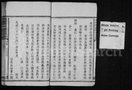 湖南唐氏族谱-晋阳唐氏续修族谱 [4卷,及卷首末].pdf电子版插图4