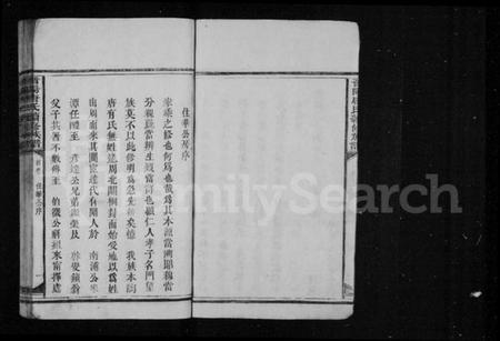 湖南唐氏族谱-晋阳唐氏续修族谱 [4卷,及卷首末].pdf电子版插图5