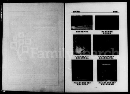 湖南唐氏族谱-津临安澧唐氏族谱 [4卷].pdf电子版插图5