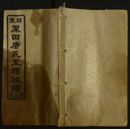 湖南唐氏族谱-邵东黑田唐氏五续族谱[隆房49卷,首3卷].pdf电子版