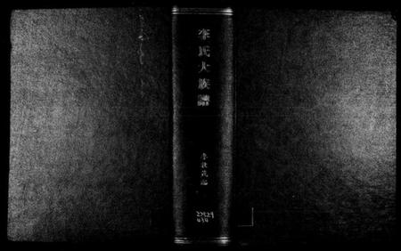 广东、福建李氏族谱-陇西李氏大族谱.pdf电子版