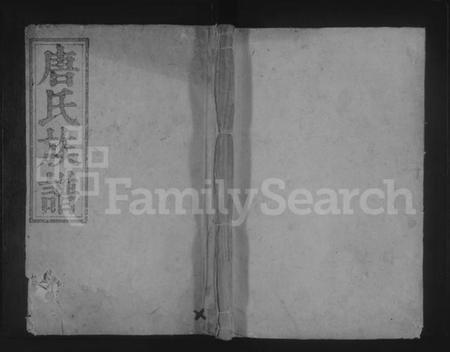 湖南唐氏族谱-上方唐氏族谱.pdf电子版缩略图