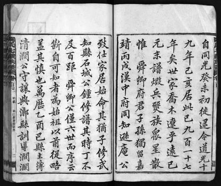 湖南陶氏族谱-资江陶氏七续族谱[按编分册分卷].pdf电子版插图4