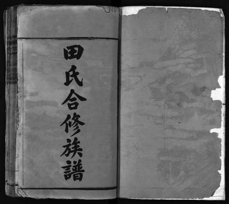 湖南田氏族谱-田氏合修族谱[首10卷, 卷数不详].pdf电子版插图2
