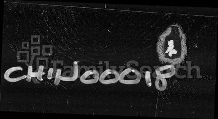 湖南田氏族谱-田氏族谱 [5卷,含卷首].pdf电子版插图4