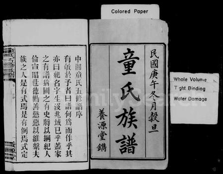 湖南童氏族谱-童氏族谱 [20卷,含末1卷].pdf电子版插图2