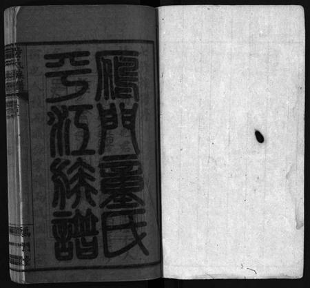 湖南童氏族谱-童氏族谱 [按房分卷].pdf电子版插图2