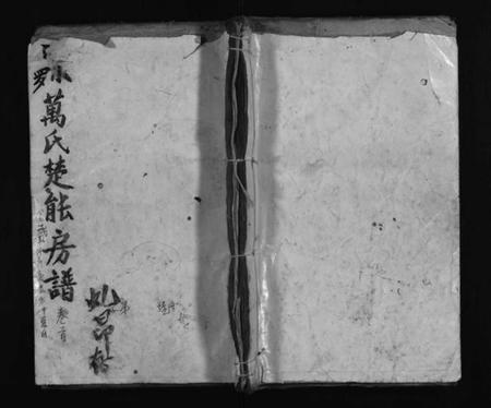 湖南万氏族谱-小罗万氏楚能房谱 [4卷,首1卷].pdf电子版插图1