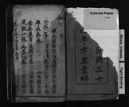 湖南万氏族谱-小罗万氏楚能房谱 [4卷,首1卷].pdf电子版插图2