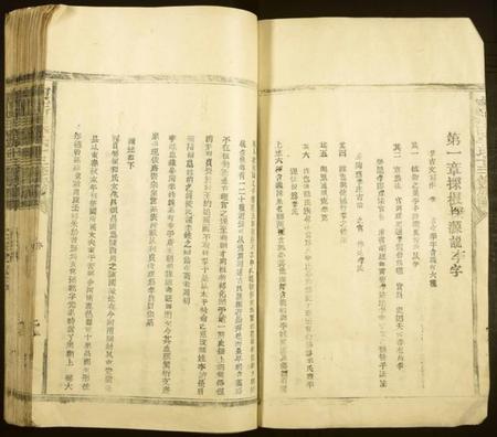 江西李氏族谱-宁都新田李氏十三修族谱[不分卷].pdf电子版插图2