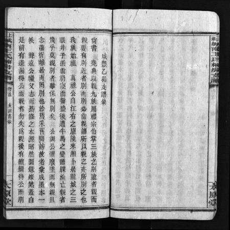 湖南王氏族谱-上湘城南王氏楠房支谱 [4卷,首1卷].pdf电子版插图5