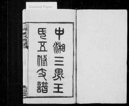 湖南王氏族谱-中湘三界王氏五修支谱 [10卷].pdf电子版插图1