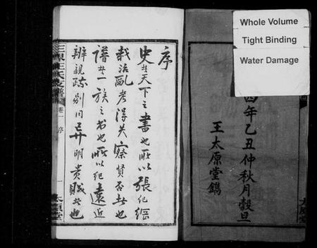 湖南王氏族谱-中湘三界王氏五修支谱 [10卷].pdf电子版插图3