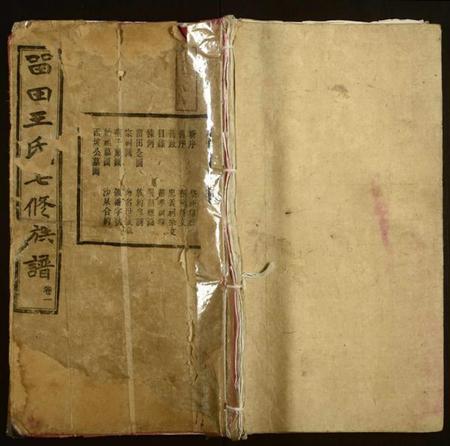 湖南王氏族谱-中湘留田王氏七修族谱[46卷].pdf电子版