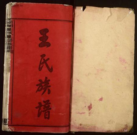 湖南王氏族谱-中湘留田王氏七修族谱[46卷].pdf电子版插图1