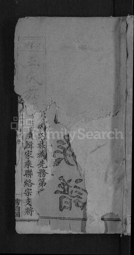 湖南王氏族谱-何家埠王氏族谱 [25卷,含首卷].pdf电子版