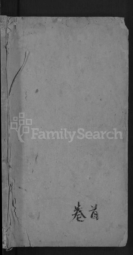 湖南王氏族谱-何家埠王氏族谱 [25卷,含首卷].pdf电子版插图1